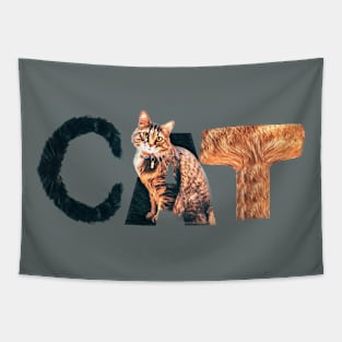 cats cat lover Tapestry