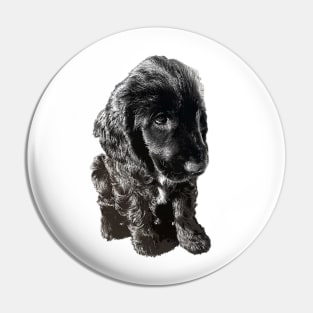 English Cocker Spaniel Black Puppy Dog - Adorable! Pin