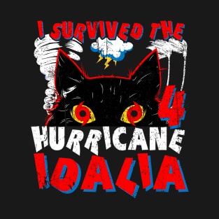 I survived the CAT 4 Hurricane Idalia T-Shirt