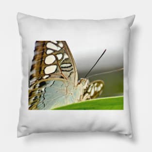 Clipper Butterfly Pillow