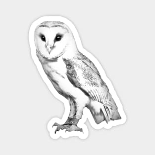 B&W Barn Owl Magnet