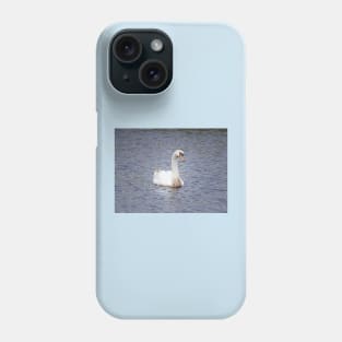Mute Swan, Wild Birds, Wildlife Gifts Phone Case