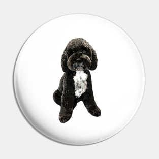 Cockapoo Cavapoo Black with White Puppy Dog Pin