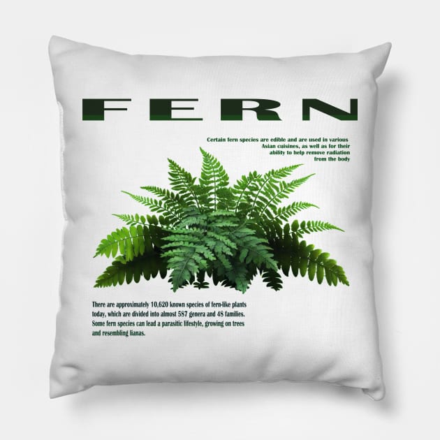 Fern green Pillow by Oranges