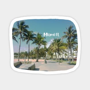 photo Miami Florida blue sky palmtree landscape USA nature lovers Magnet