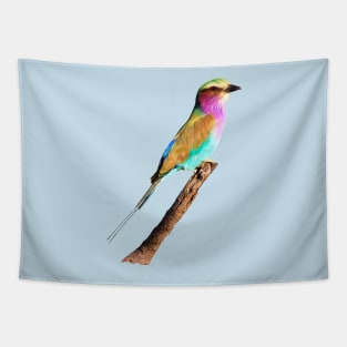 Colourful Lilac-breasted Roller Tapestry