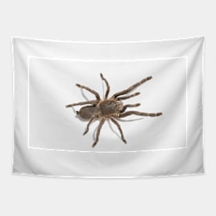 Tarantula Spider Tapestry