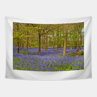 Bluebell Woods Greys Court Oxfordshire UK Tapestry