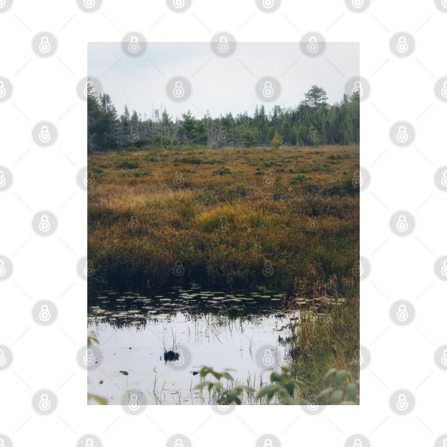 Tamarack Swamp by Isla Creek Casuals