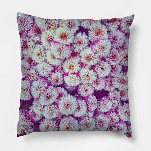 Chrysanthemum Pillow by Loregatusa84