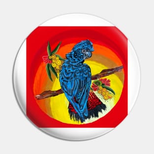 Red tailed black cockatoo sunset Pin