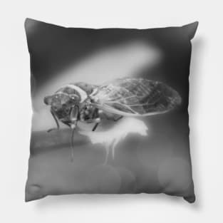 Cicada on Pineapple Tree in Summer Light in Black and White Pillow