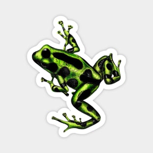 Green poison dart frog Magnet