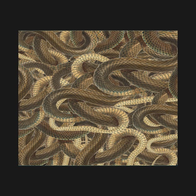 snake patterns entangled on itself by JENNEFTRUST