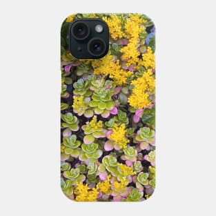 Stonecrops in Spring Phone Case