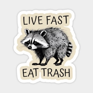 Raccoon Live Fast Eat Trash Magnet