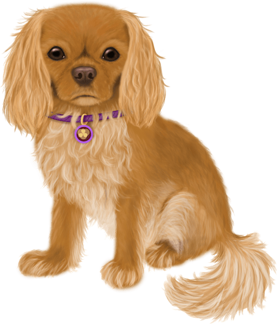 Ruby Cavalier King Charles Spaniel Original Design Kids T-Shirt by Cavalier Gifts