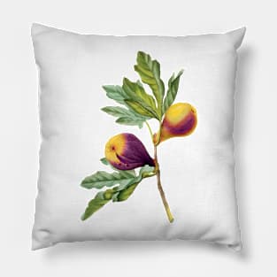 Vintage Botanical Print, Fig by Redoute Pillow