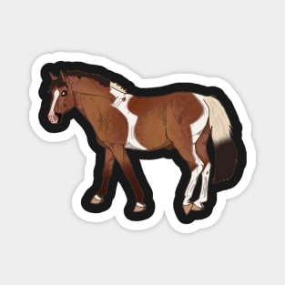 Paint Horse Magnet