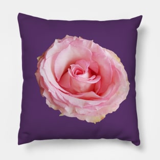 Pink Rose Floral Photo Cutout Pillow