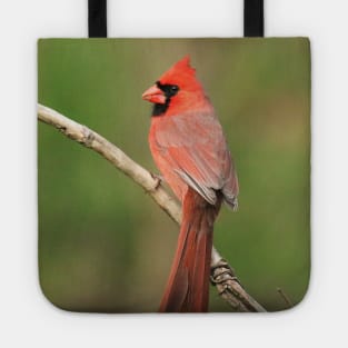 Northern Cardinal Tote