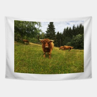 Scottish Highland Cattle Cows 2073 Tapestry