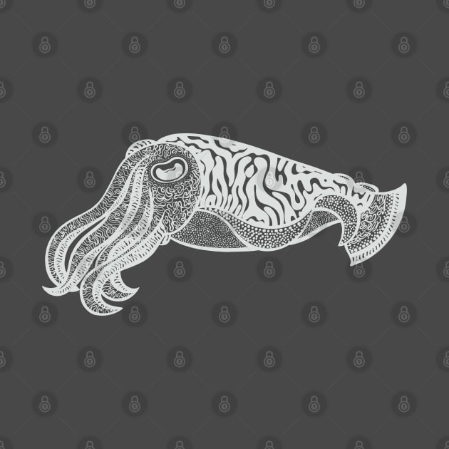 Cuttlefish - detailed hand drawn sea animal drawing by Green Paladin