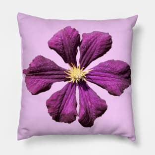 Purple Clematis Pillow