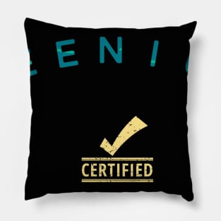 Certified geenius Pillow