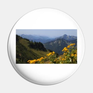 The alps Pin