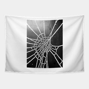 Spider Lace 4 Tapestry