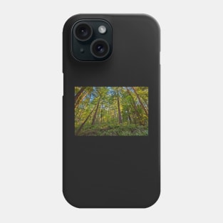 Muir Woods Phone Case