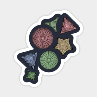 Diatoms - Marine Biology Art Magnet