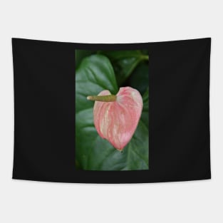 Anthurium Tapestry