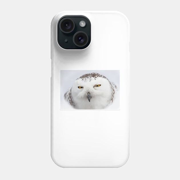 "Whooo goes there?" - Snowy Owl Phone Case by Jim Cumming