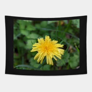 Dandelion 1 Tapestry