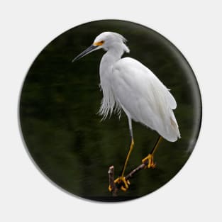 Snowy Egret Pin