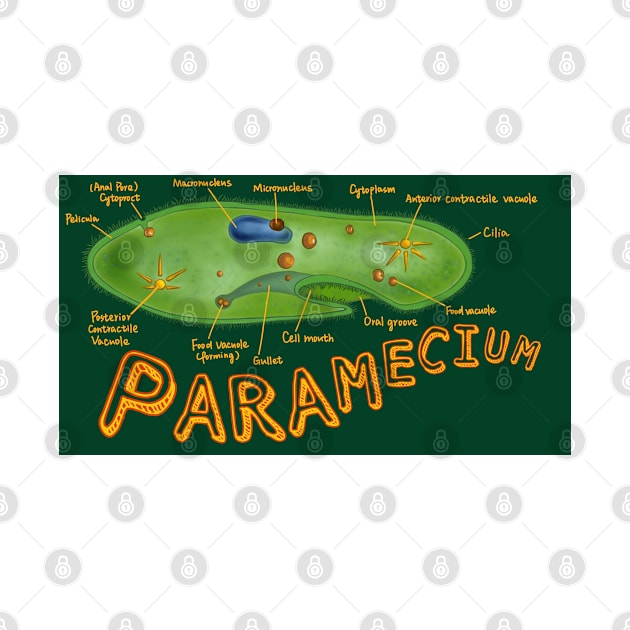 Paramecium-with structures labeled by aneworldwithjoy