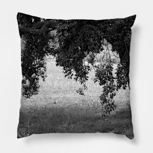 Cork Oak Tree Forest 2 Pillow