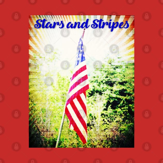 Stars and Stripes USA Flag by Shell Photo & Design