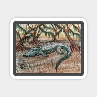 Alligator lurking in the swamp Magnet