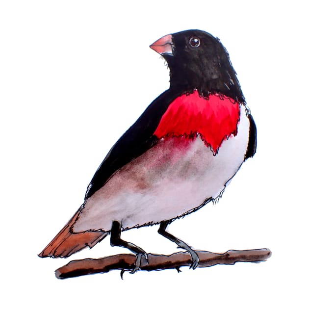 Rose Breasted Grosbeak Bird by julyperson