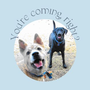 You're Coming, Right? (2 doggies at attention) T-Shirt