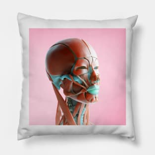 Facial muscles, illustration, (F035/6168) Pillow