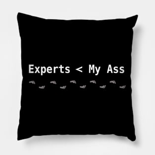 Experts Pillow