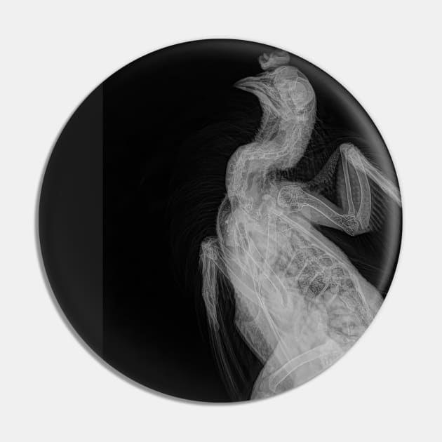 Rooster X-ray Pin by danieltuttle