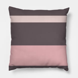 A gorgeous bind of Dirty Purple, Spanish Gray, Lotion Pink and Pale Chestnut stripes. Pillow