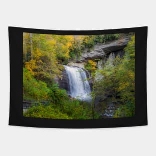 Looking Glass Falls Tapestry