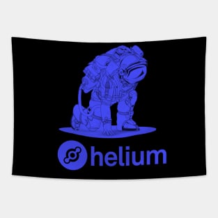 Helium  Crypto Cryptocurrency HNT  coin token Tapestry