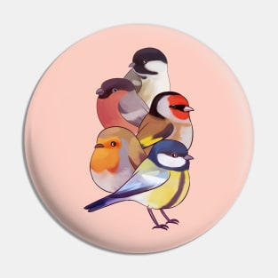 Cute European birds illustration Pin